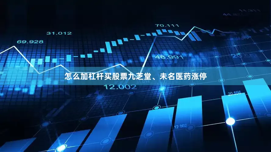 怎么加杠杆买股票九芝堂、未名医药涨停